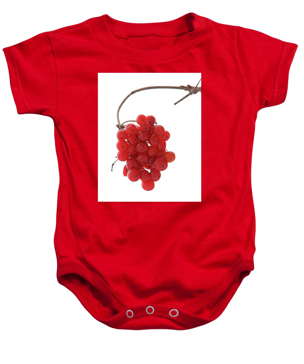 Red Baby Onesie featuring the photograph Winter Berries by Tiffany Whisler