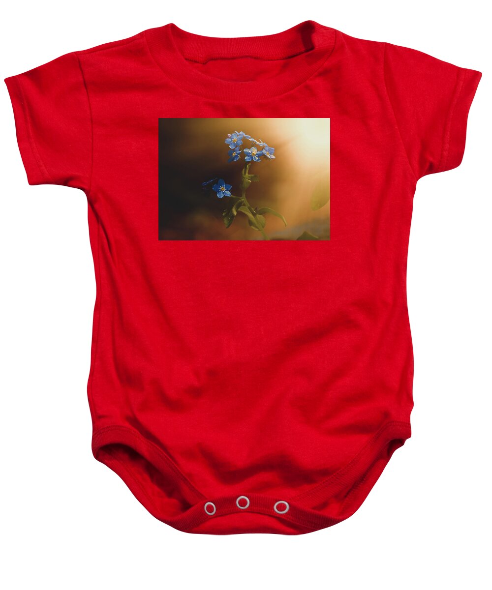 Wood Forget Me Not Baby Onesie featuring the photograph Woodland Forget-Me-Not by Bob Orsillo