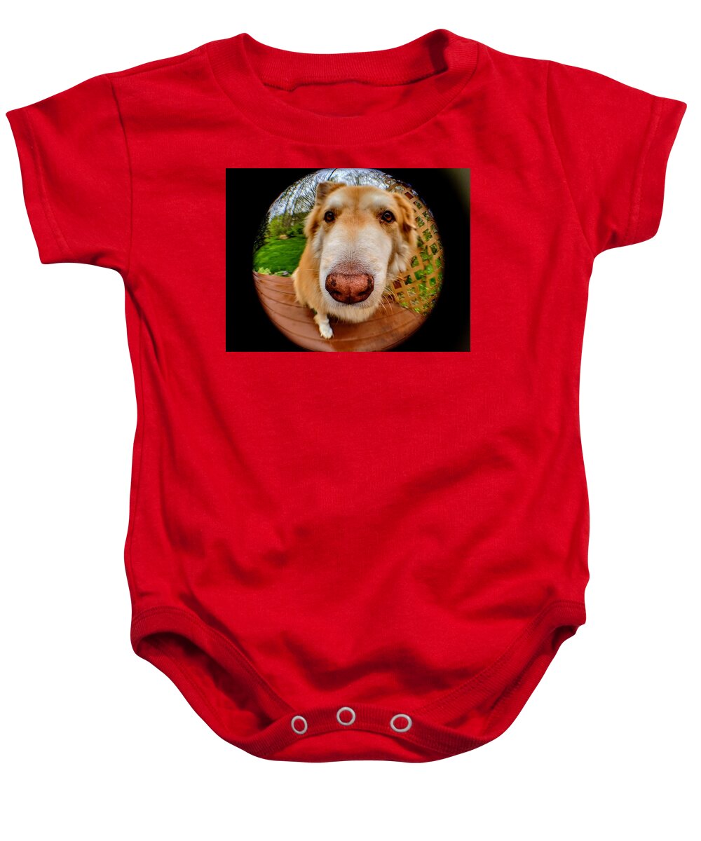  Baby Onesie featuring the photograph Extreme Closeup #1 by Brad Nellis