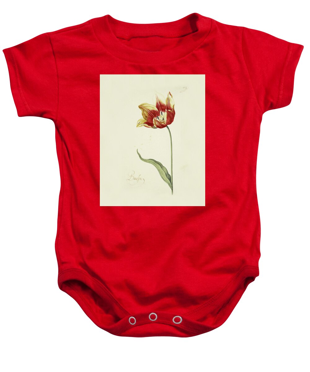 Poster Baby Onesie featuring the painting Great Tulip Book #4 by MotionAge Designs