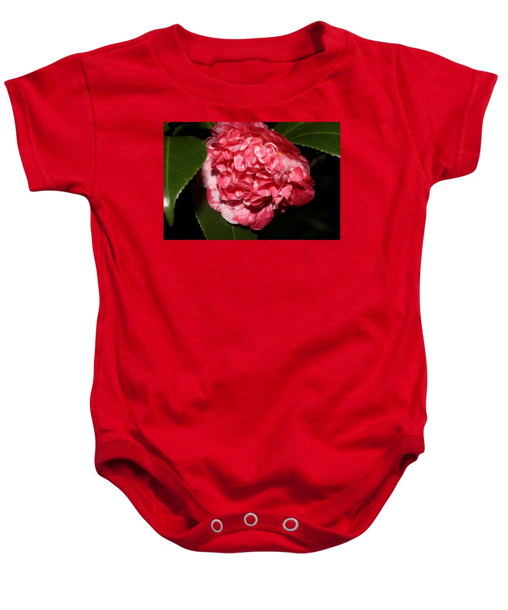 Camellia Baby Onesie featuring the photograph Bi-Color Camellia VIII by Mingming Jiang