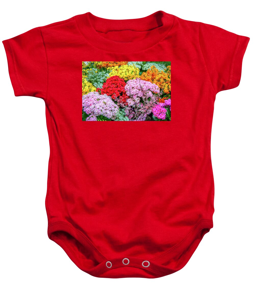 Christchurch Baby Onesie featuring the photograph Blooming beauty by Fran Woods