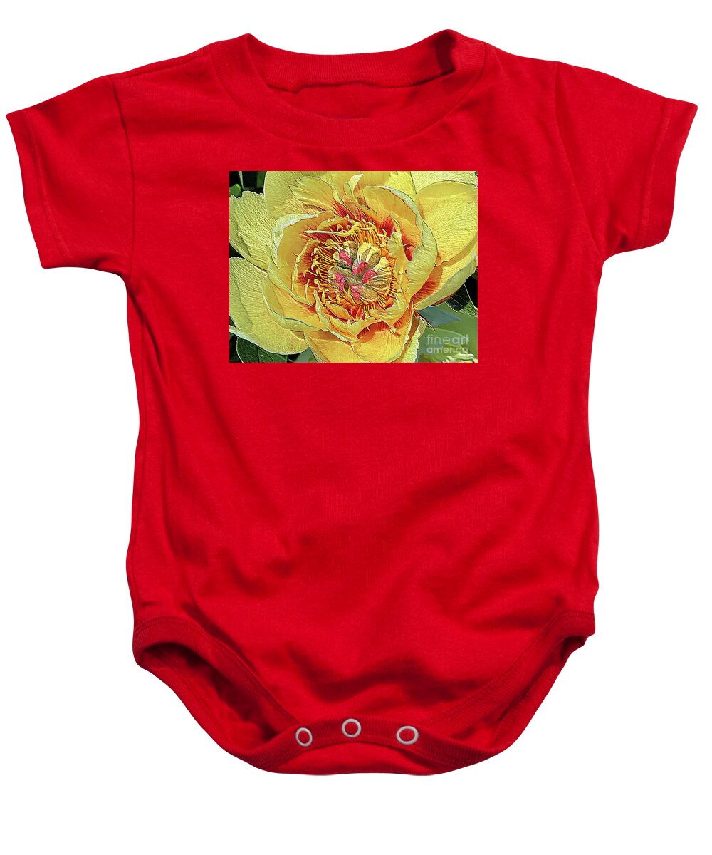 Border Charm Peony Baby Onesie featuring the photograph Border Charm Peony by Jeanette French