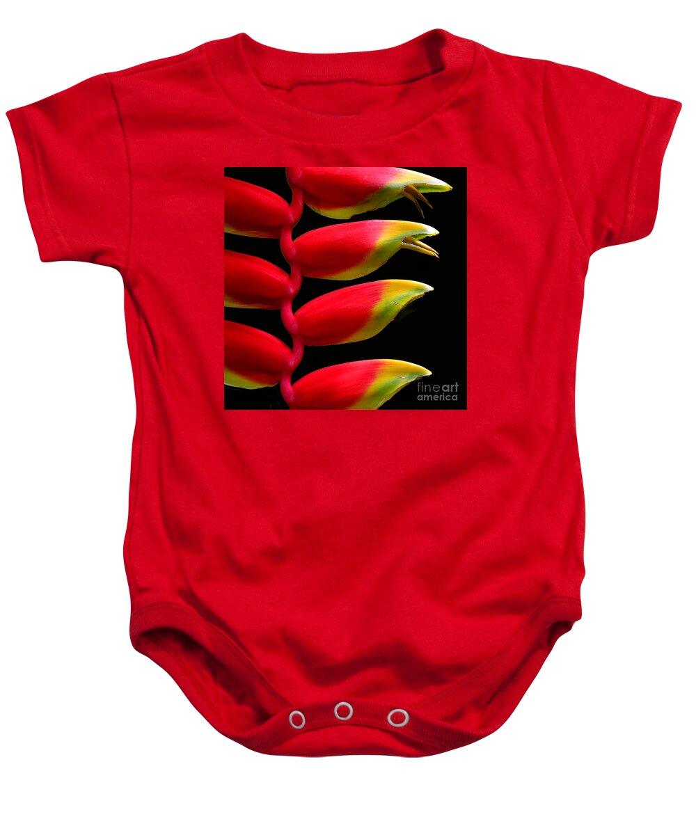Budding Paradise2 Baby Onesie featuring the photograph Budding Paradise 2 by Paul Davenport