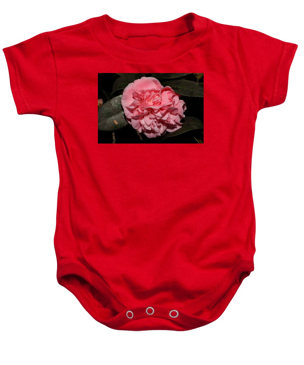 Camellia Baby Onesie featuring the photograph Camellia X by Mingming Jiang