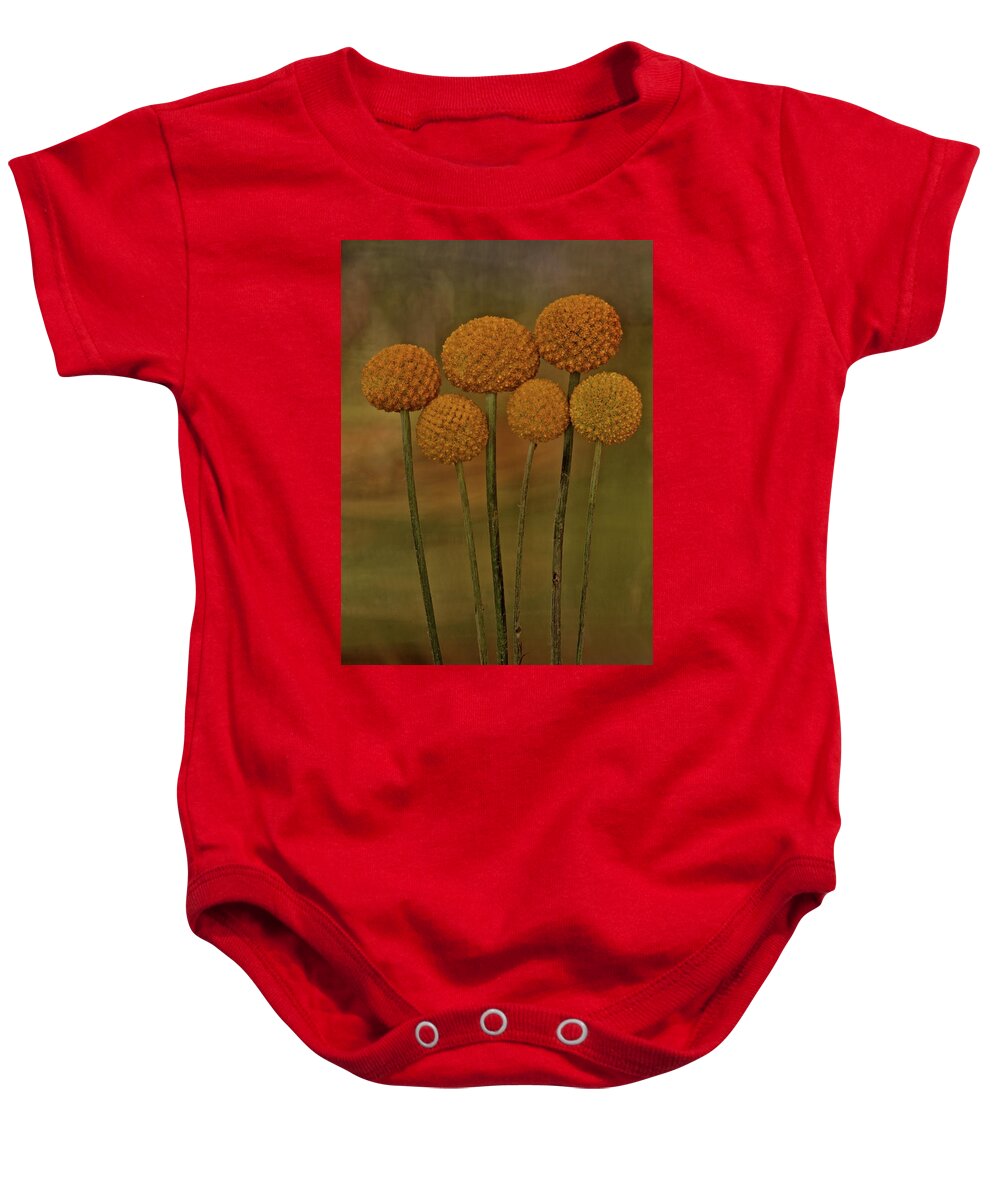 Botanical Baby Onesie featuring the photograph Craspedia 4310 by Julie Powell