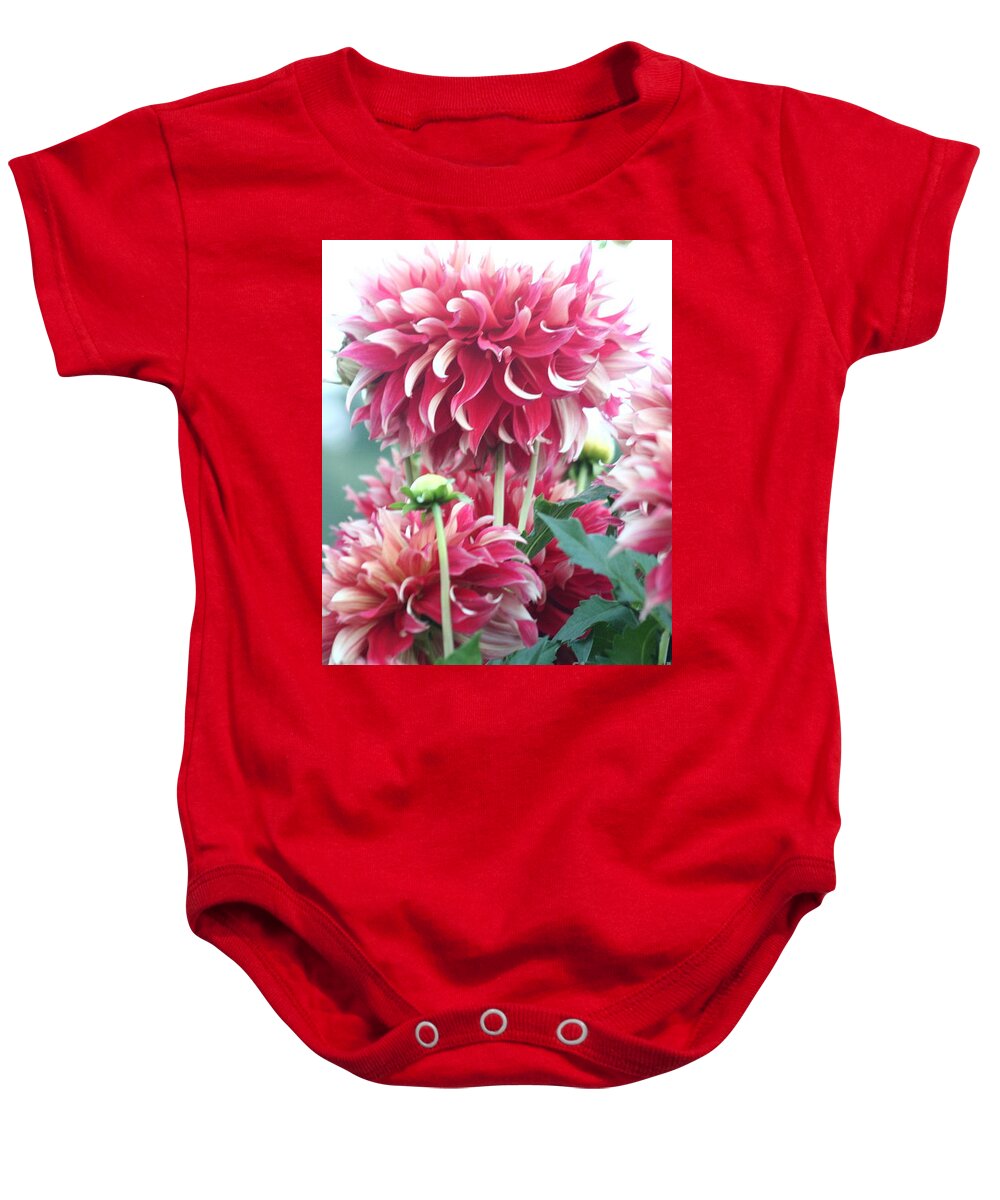 Dahlias Red And White Baby Onesie featuring the photograph Dahlias red and white by B Rossitto