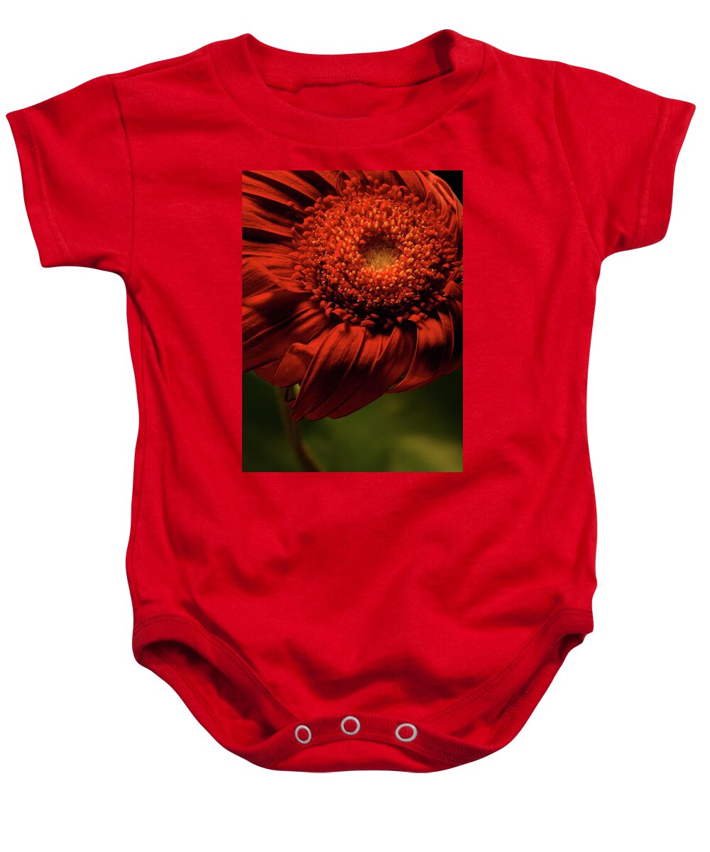 Flower Baby Onesie featuring the photograph Daisy 9783 by Julie Powell