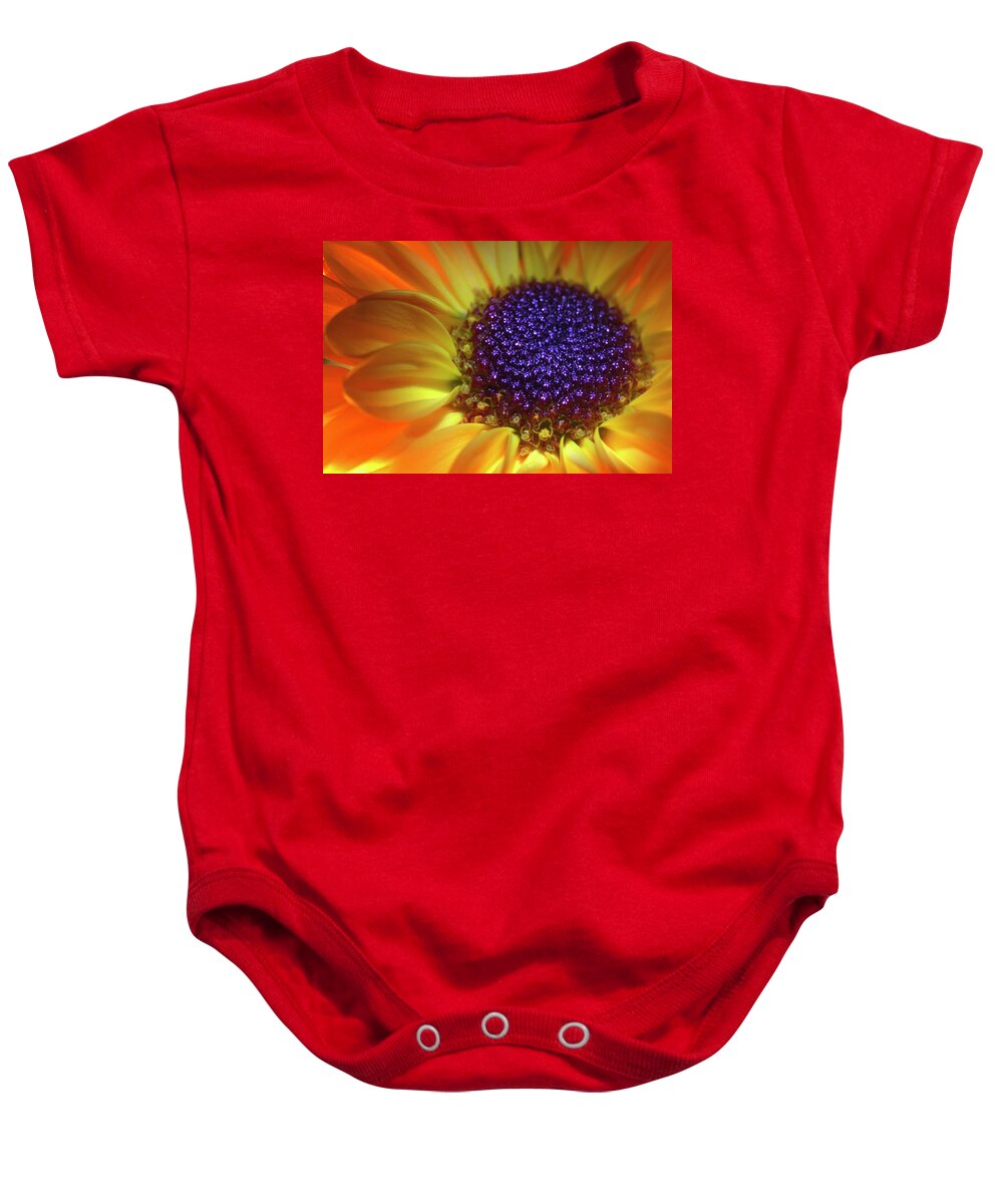 Daisy Baby Onesie featuring the photograph Daisy Yellow Orange by Julie Powell