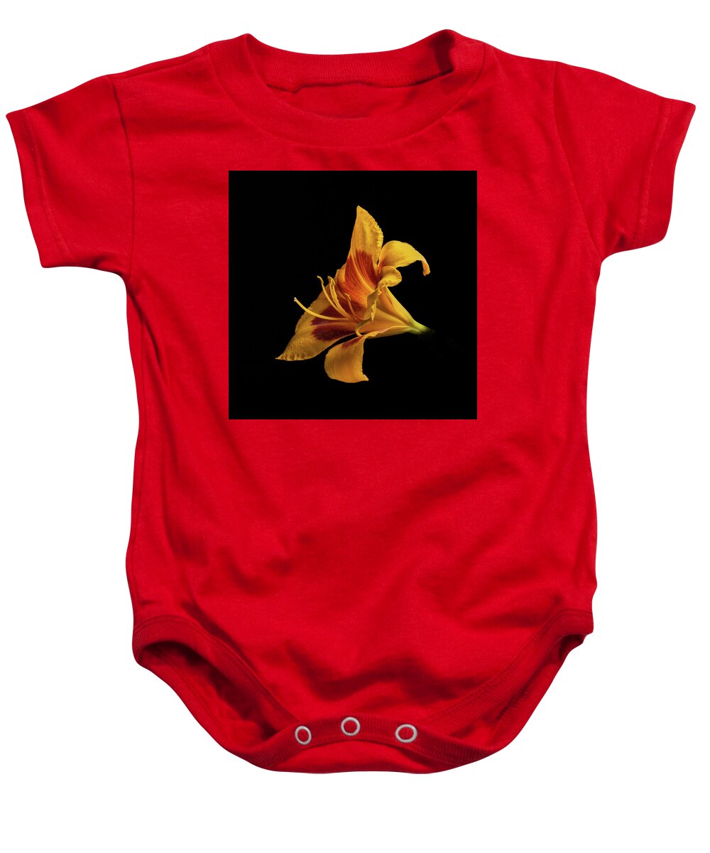 Hemerocallis Fulva Baby Onesie featuring the photograph Daylily at Night by Kevin Suttlehan