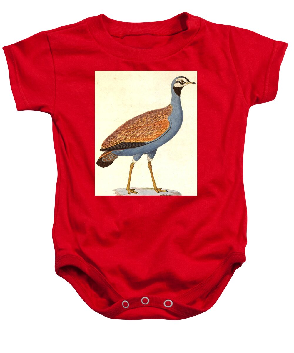Nicolas Huet The Younger Baby Onesie featuring the drawing Eupodotis caerulescens by Nicolas Huet the Younger