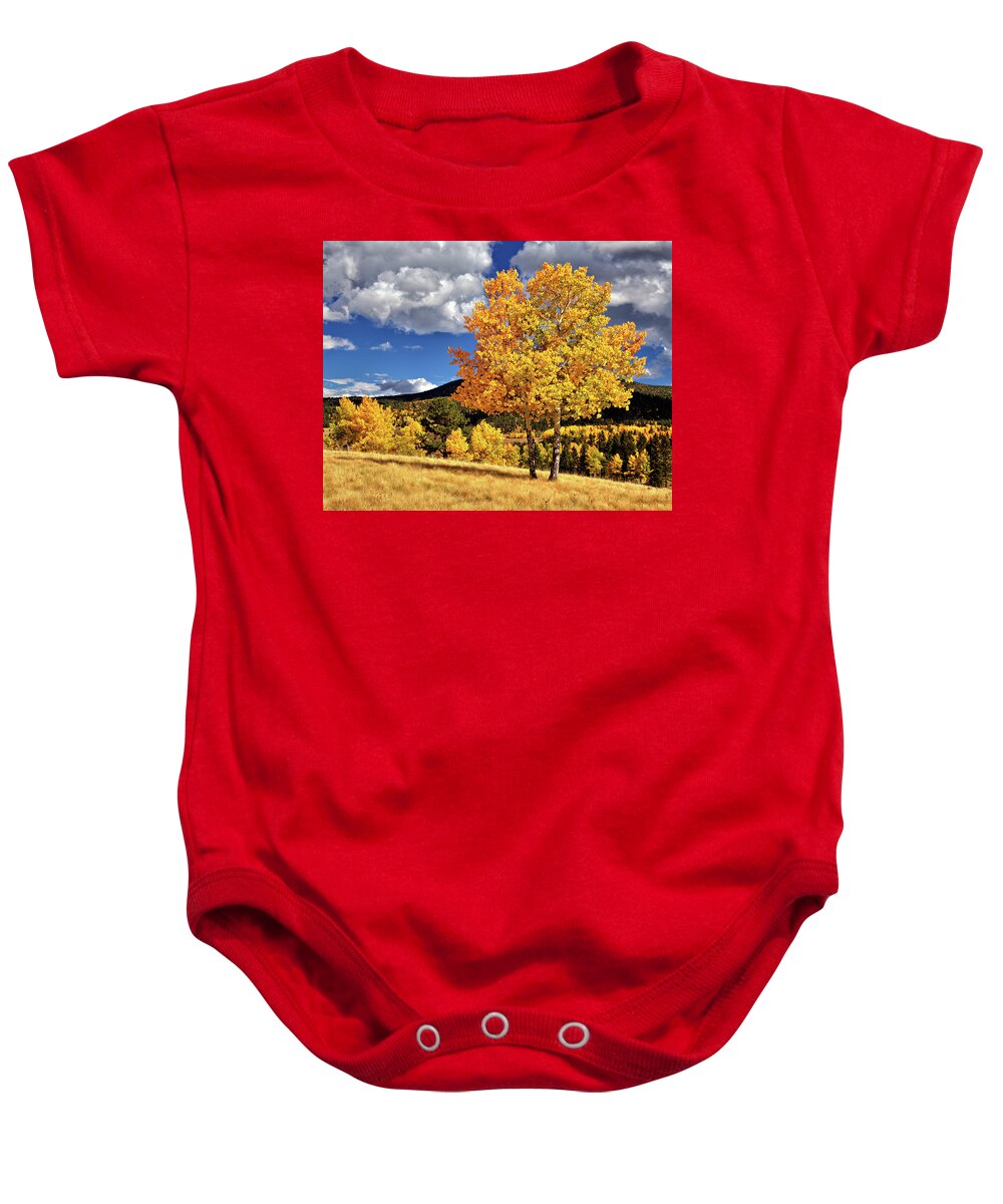 Aspens Baby Onesie featuring the photograph Fall Colors by Bob Falcone