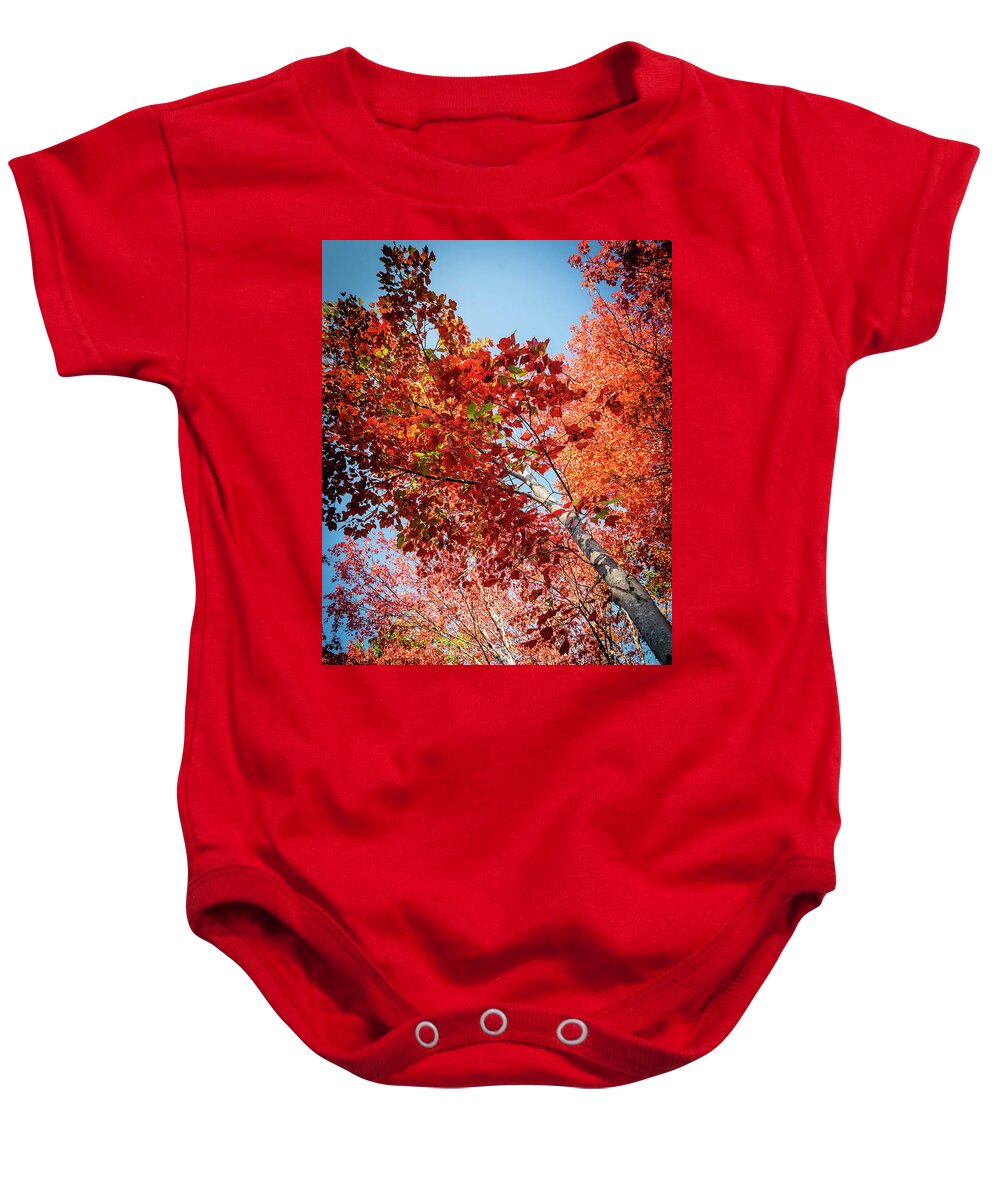 White Birch Baby Onesie featuring the photograph Fall Colors in Acadia by GeeLeesa Productions