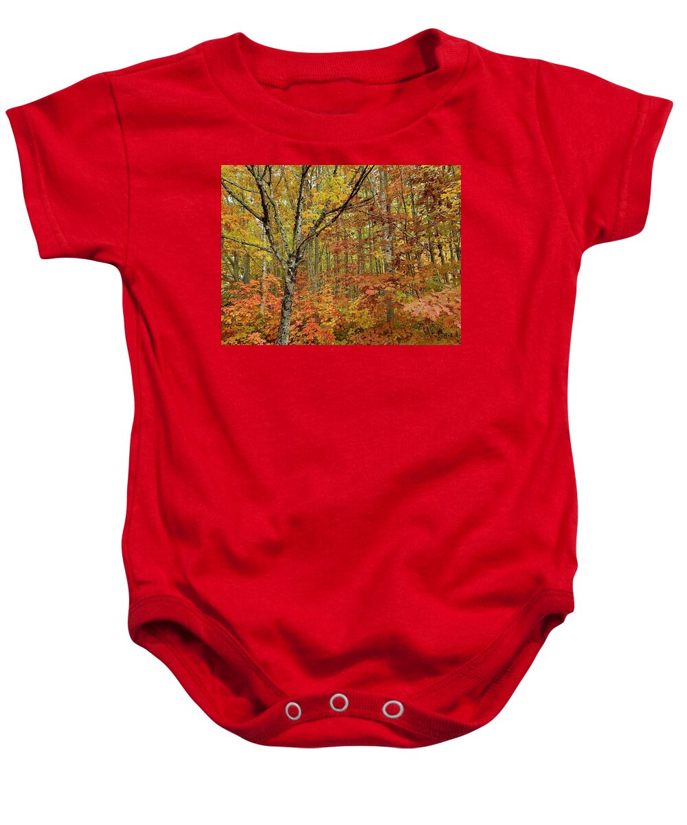 Forest Baby Onesie featuring the photograph Fall Forest by Brian Eberly