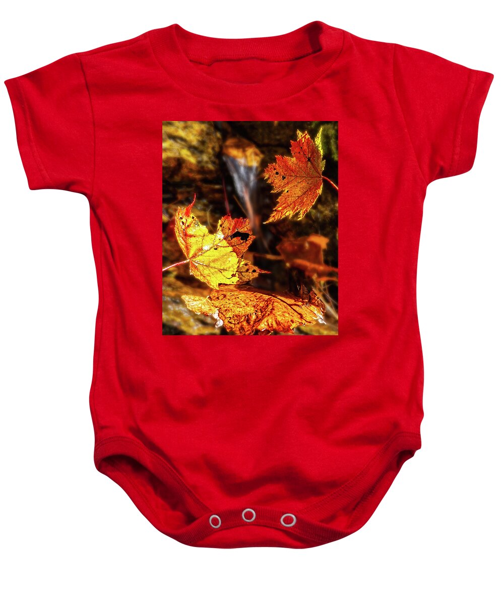 Autumn Baby Onesie featuring the photograph Falling Leaves Fall Colors by Dan Carmichael