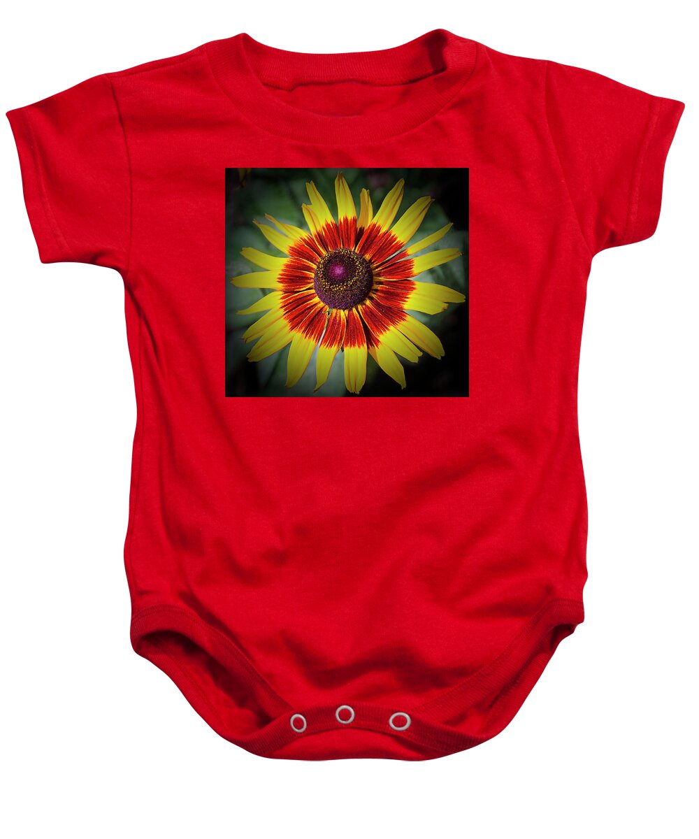 Indian Blanket Baby Onesie featuring the photograph Firewheel by Bill Barber