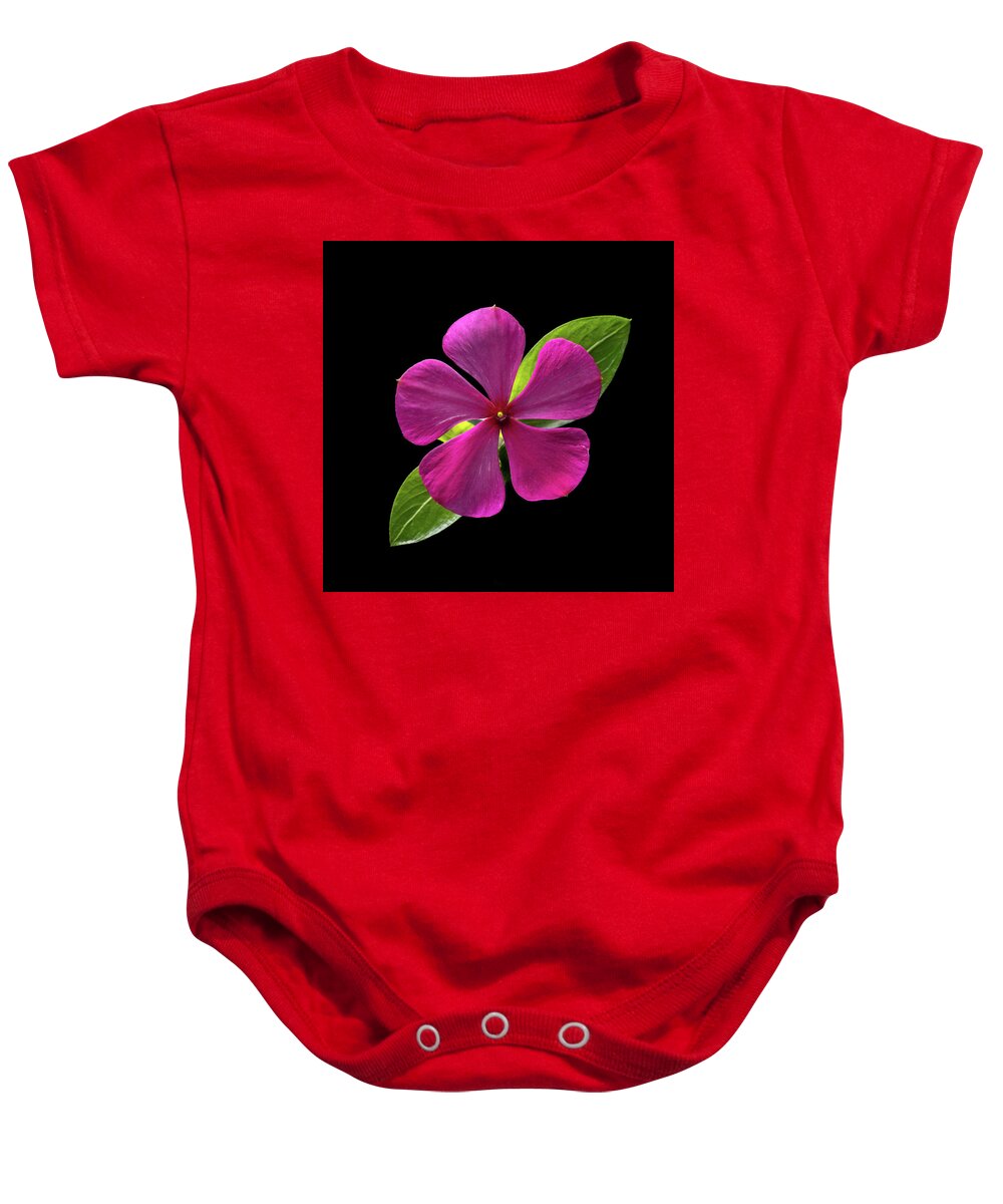 Fuchsia Baby Onesie featuring the photograph Fuchsia and Green on Black by Kevin Suttlehan