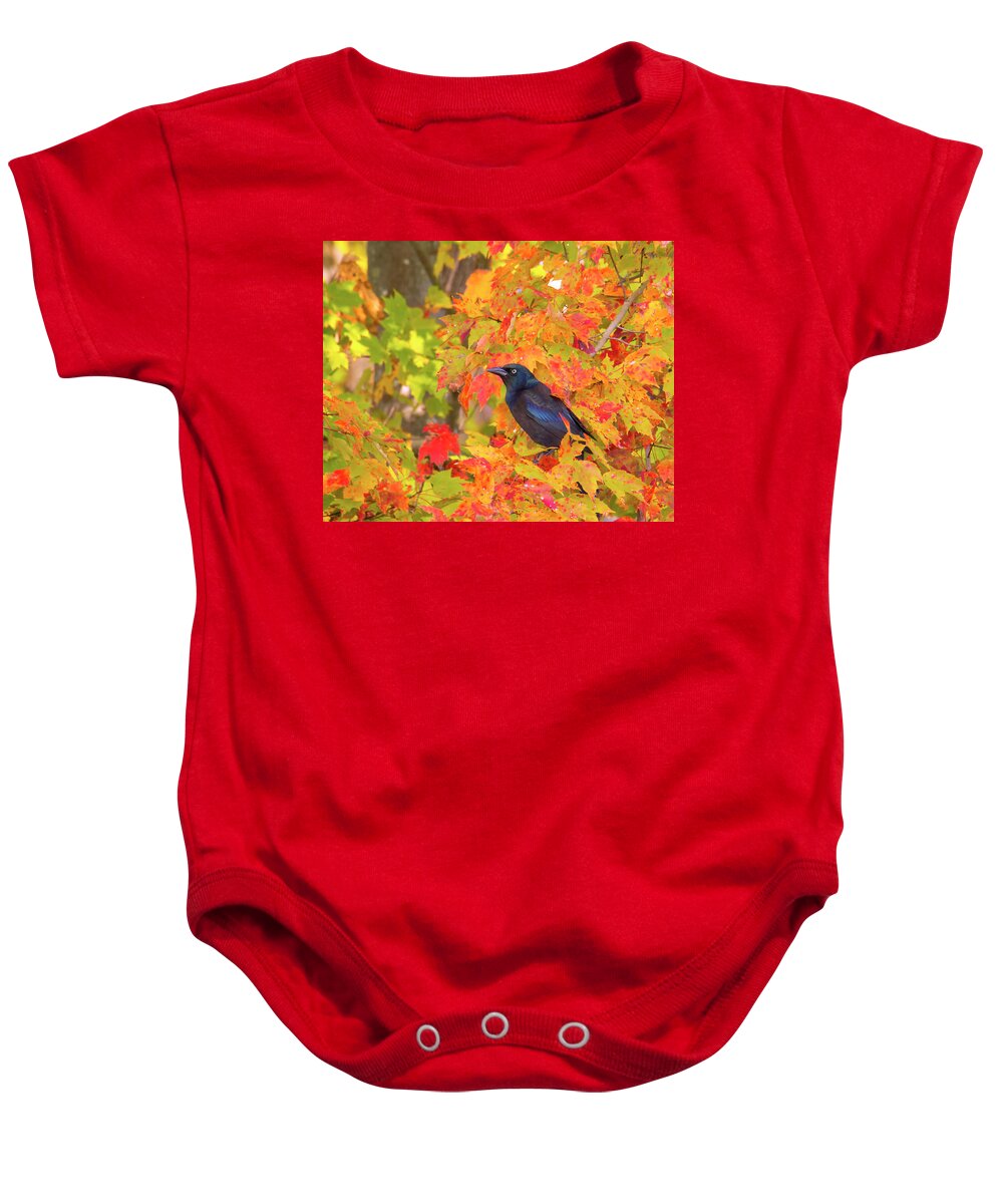 Birds Baby Onesie featuring the photograph Grackle Sitting Among Fall Leaves by Charles Floyd
