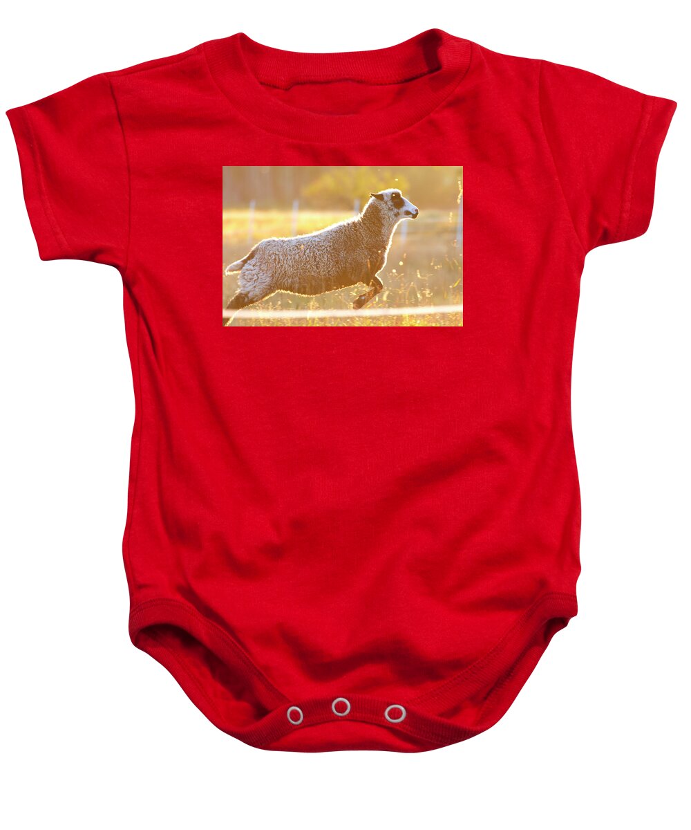 Animal Baby Onesie featuring the photograph Jumping sheep at sunset by Ulrich Kunst And Bettina Scheidulin