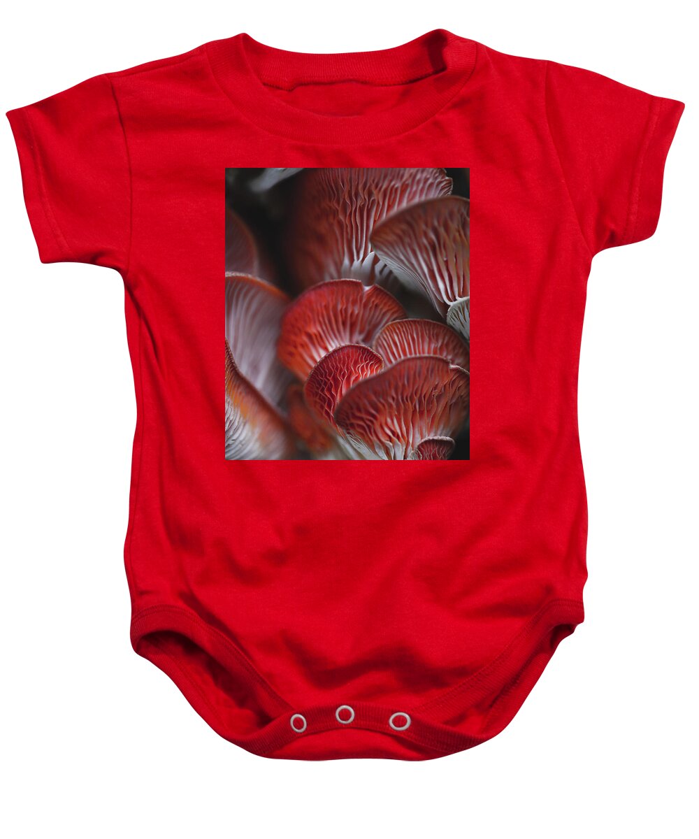 Mountain Baby Onesie featuring the photograph Mushroom Macro by Go and Flow Photos