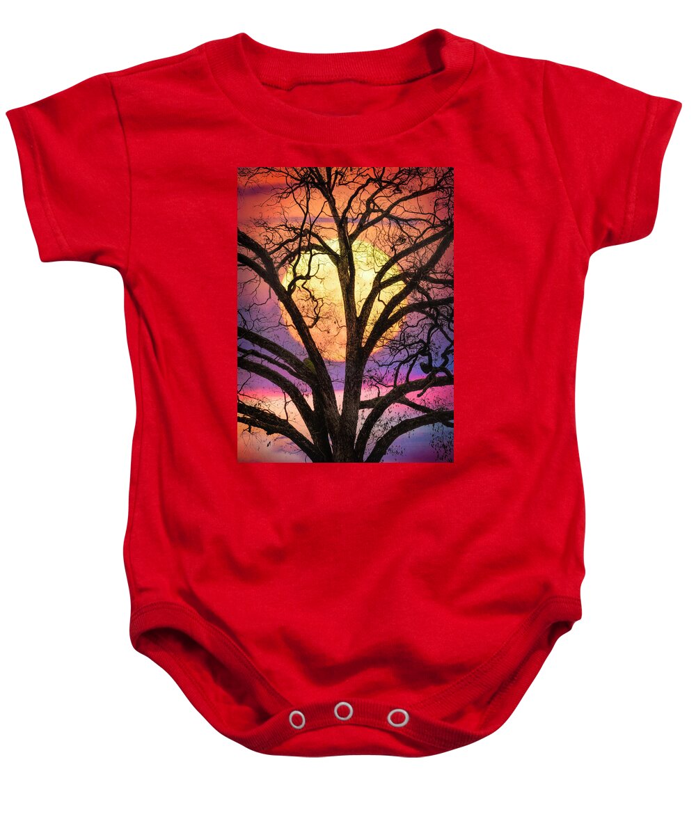 Carolina Baby Onesie featuring the photograph Nature in Stained Glass by Debra and Dave Vanderlaan