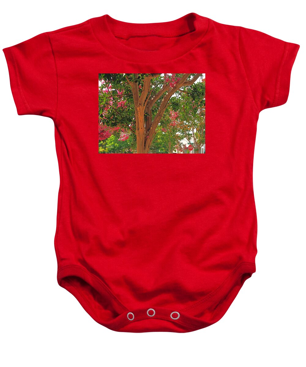Botanical Baby Onesie featuring the photograph Neighborhood Landscaping by Richard Thomas