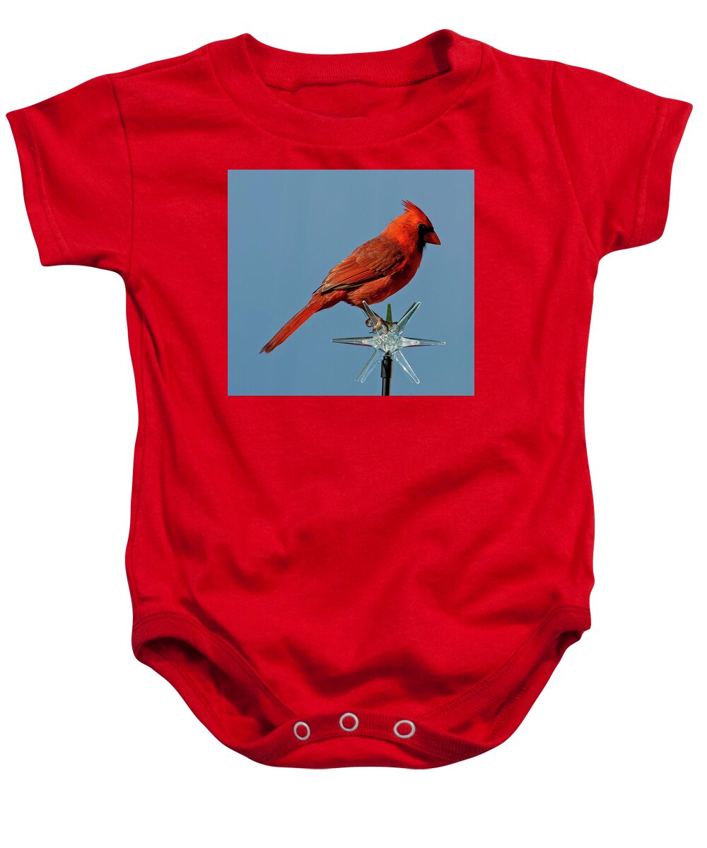 Cardinal Baby Onesie featuring the photograph Northern Cardinal by Dart Humeston