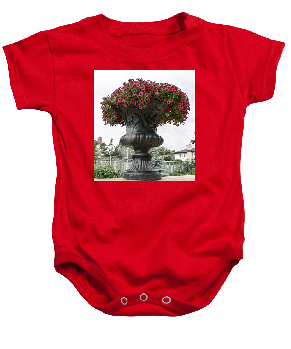 Baby Onesie featuring the photograph Palatial by Doug Norkum