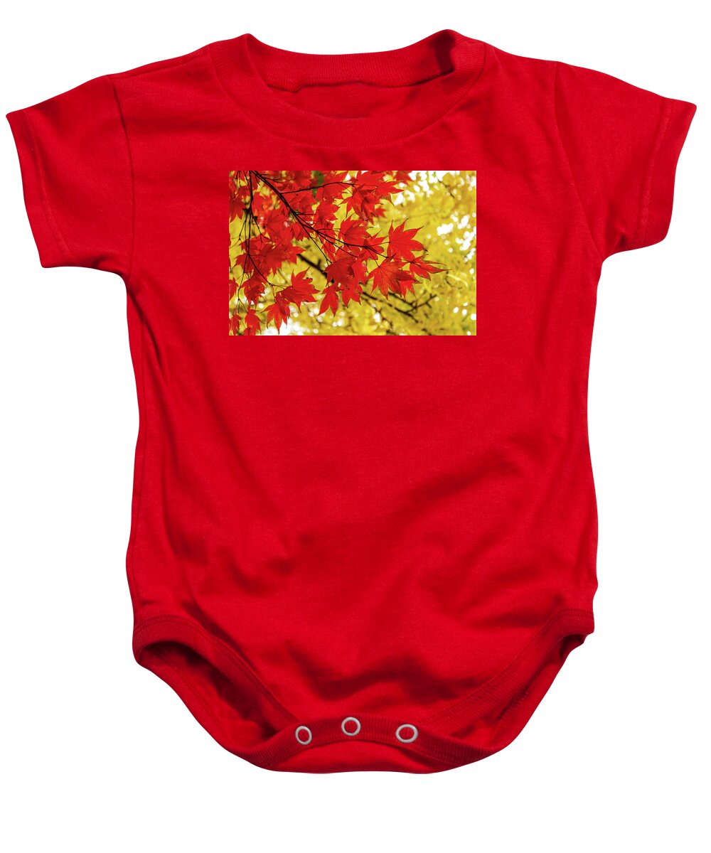 Japanese Maple Baby Onesie featuring the photograph Red and Yellow Leaves of Fall by Cynthia Clark