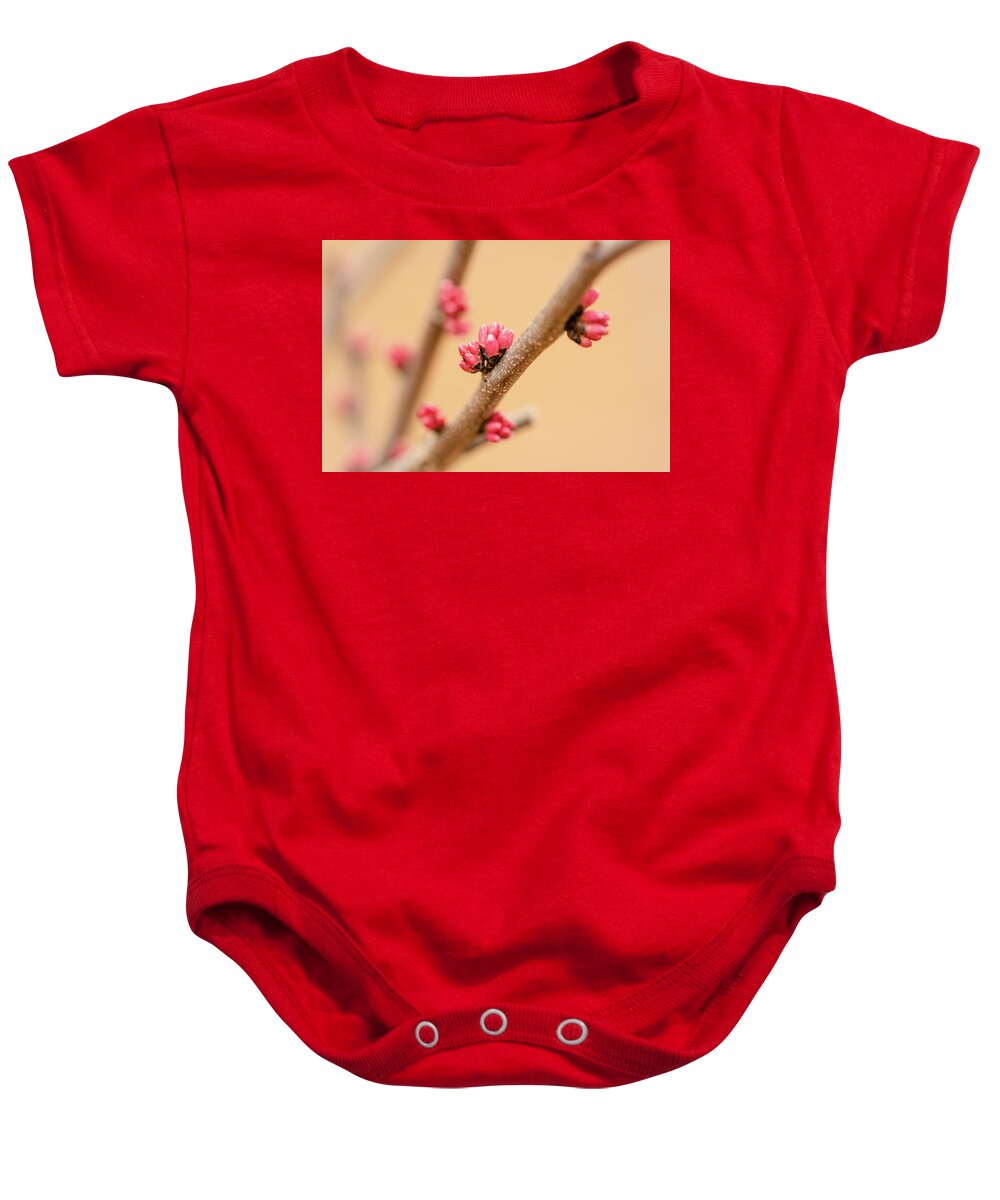 Eastern Red Bud Tree Baby Onesie featuring the photograph Red Bud Buds by Joni Eskridge
