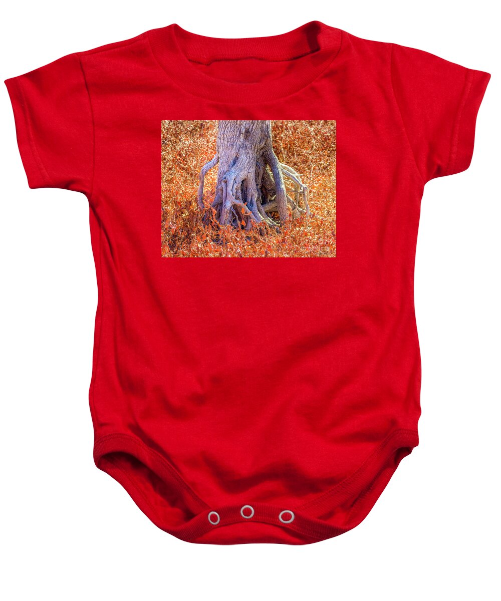 Roots Baby Onesie featuring the photograph Roots by Shirley Dutchkowski
