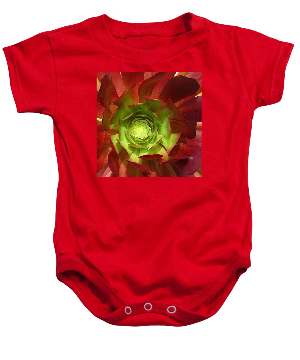 Succulent Baby Onesie featuring the photograph Succulent Square Close Up 2 by Amy Vangsgard