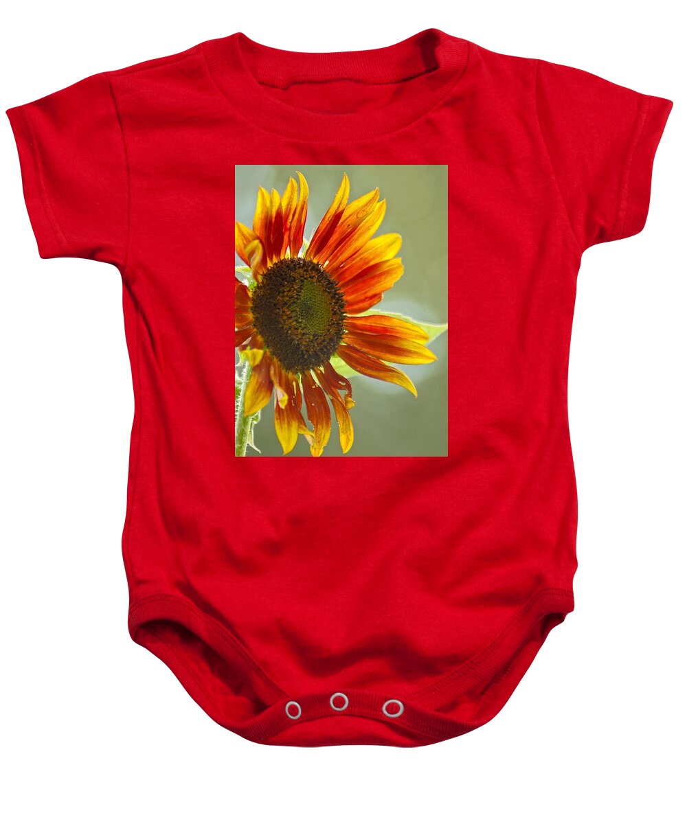  Baby Onesie featuring the photograph Sunflower by Stephen Dorton