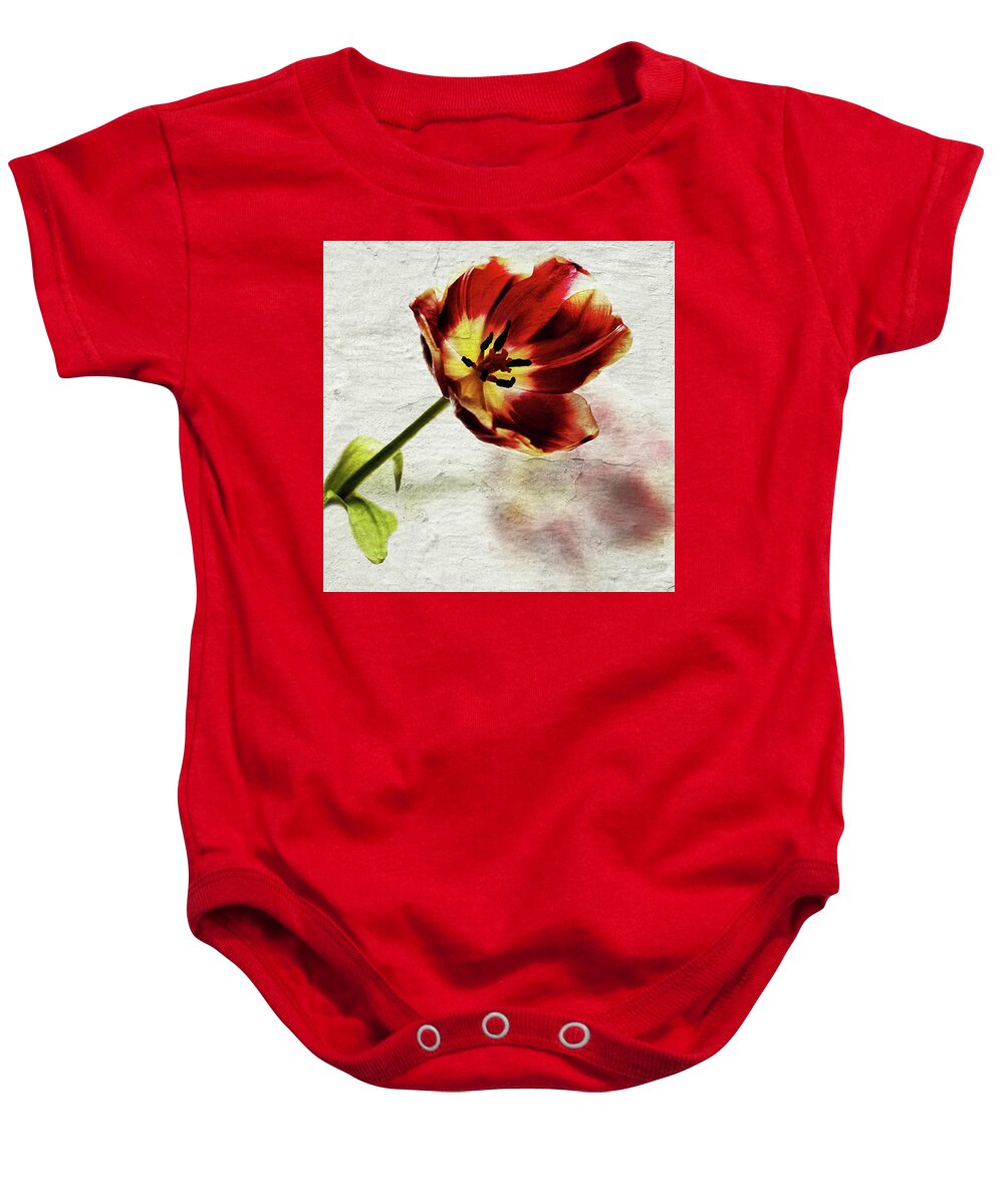 Red Tulip Baby Onesie featuring the photograph Tulip Shadow by Al Fio Bonina