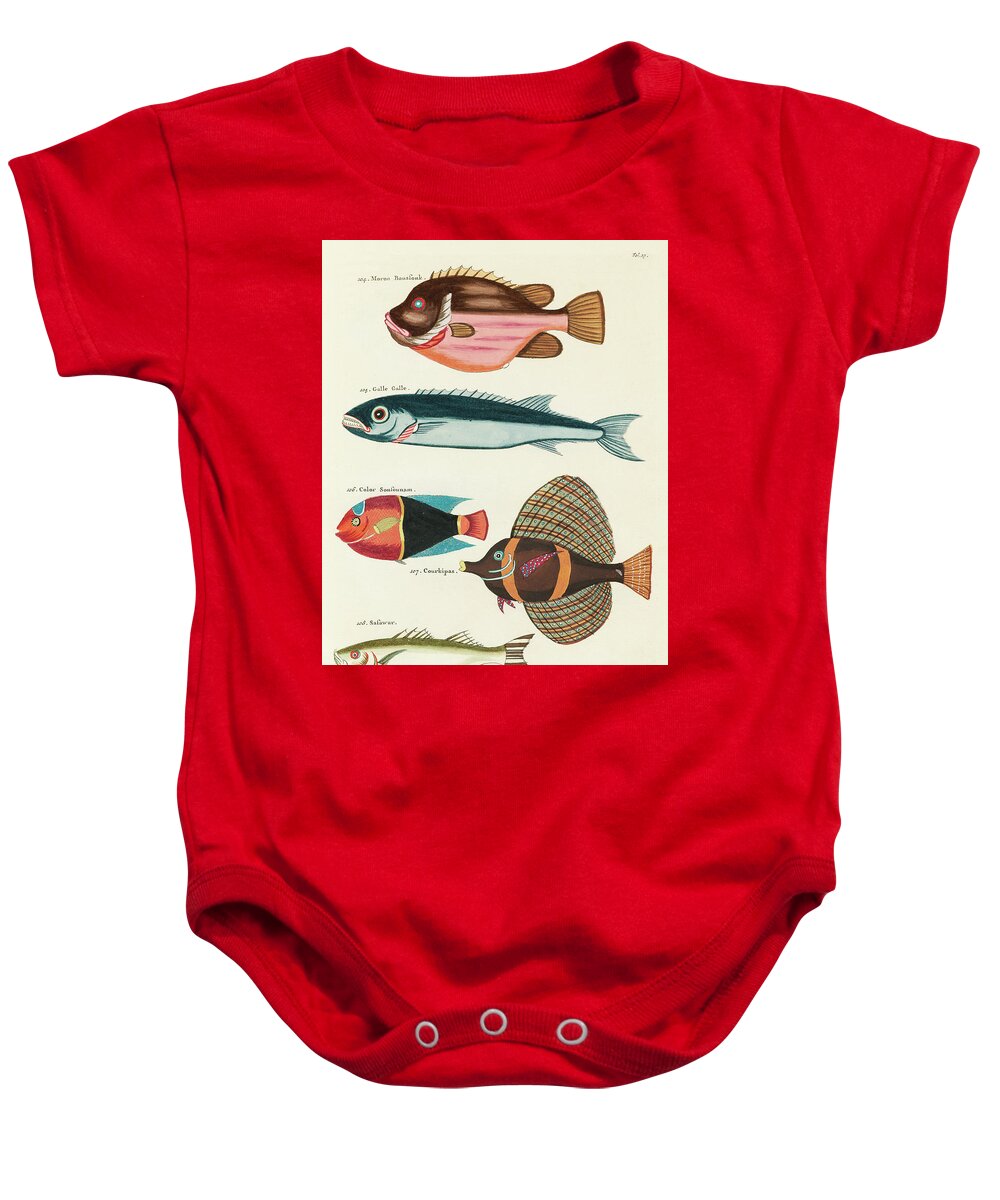 Fish Baby Onesie featuring the digital art Vintage, Whimsical Fish and Marine Life Illustration by Louis Renard - Moron Boussouk, Galle Galle by Louis Renard