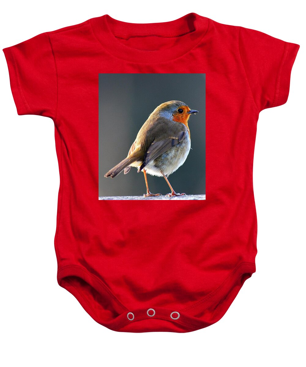Winter Sunshine Baby Onesie featuring the photograph Winter Sunshine Robin Redbreast by Neil R Finlay