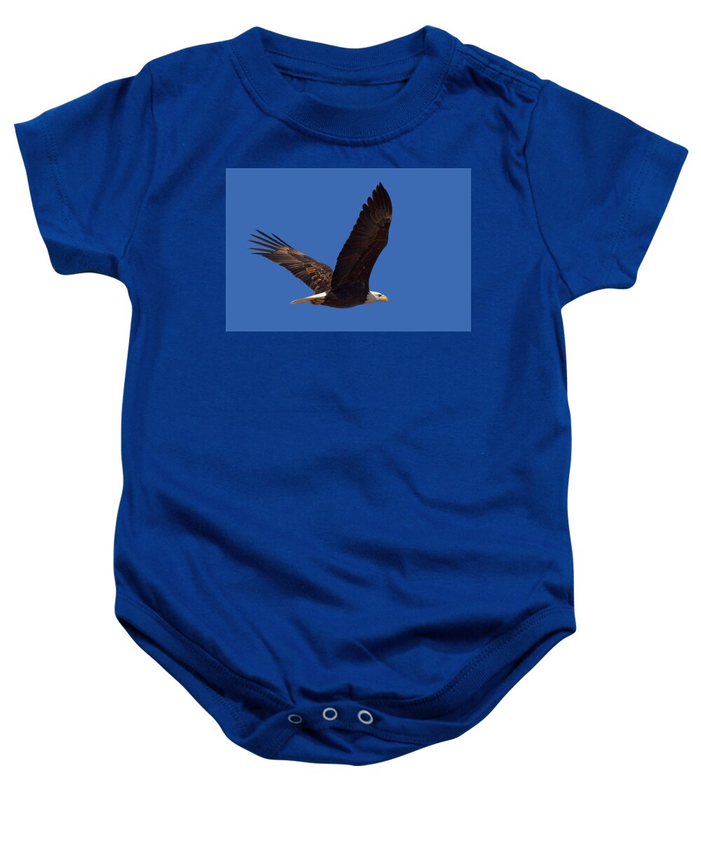 Bald Eagle Baby Onesie featuring the photograph Bald Eagle Fly By by Beth Sargent