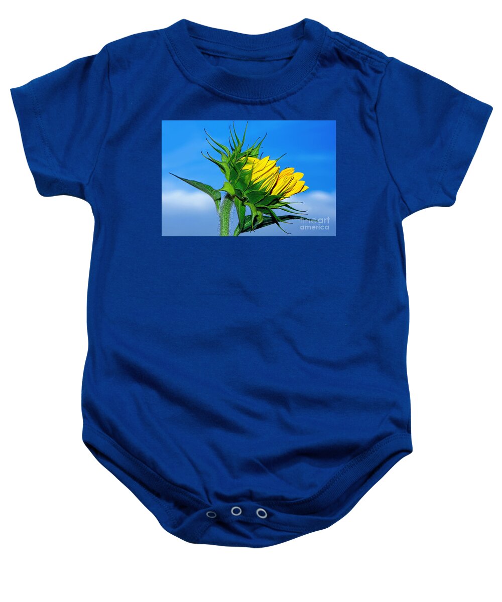 Photography Baby Onesie featuring the photograph Birth of a Sunflower by Kaye Menner by Kaye Menner