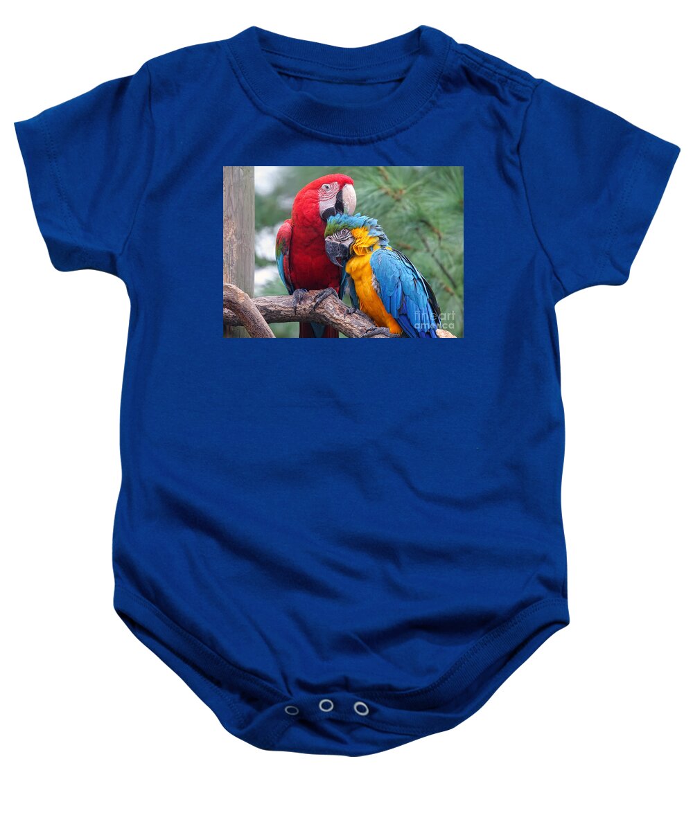 Parrots Baby Onesie featuring the photograph Grooming Session by Geoff Crego