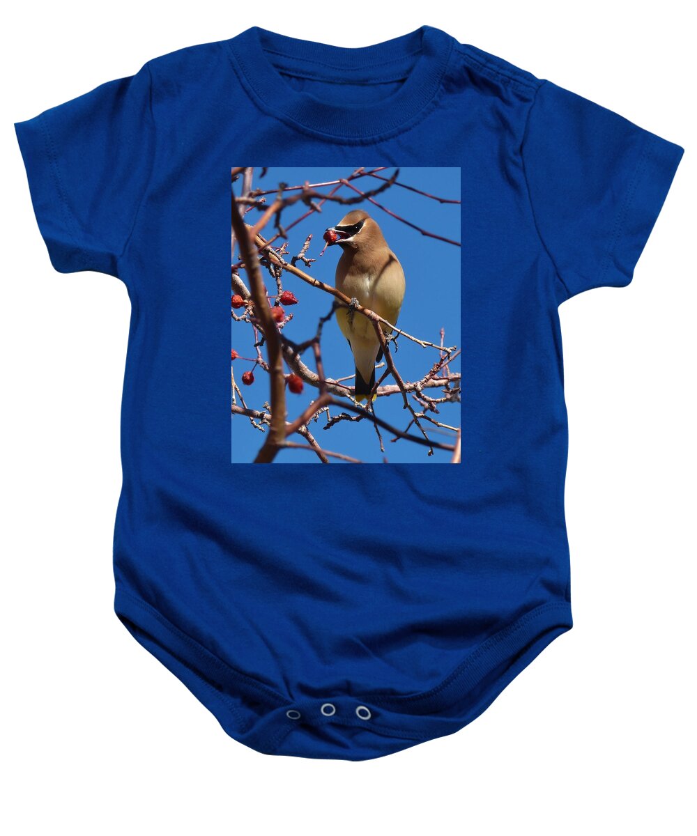 Birds Baby Onesie featuring the photograph Cedar Waxwing by Tranquil Light Photography