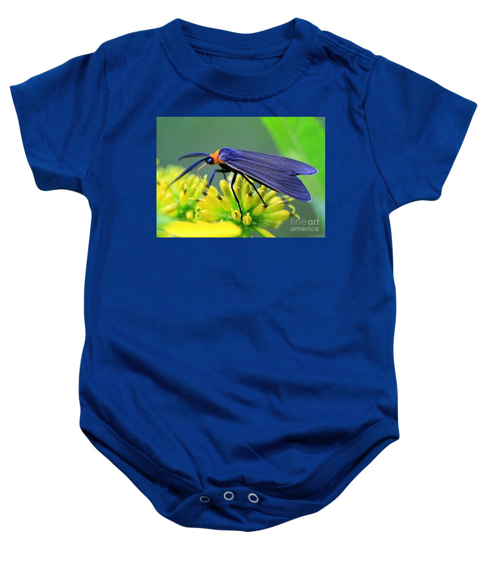 Bugs Baby Onesie featuring the photograph Color Me Blue by Geoff Crego