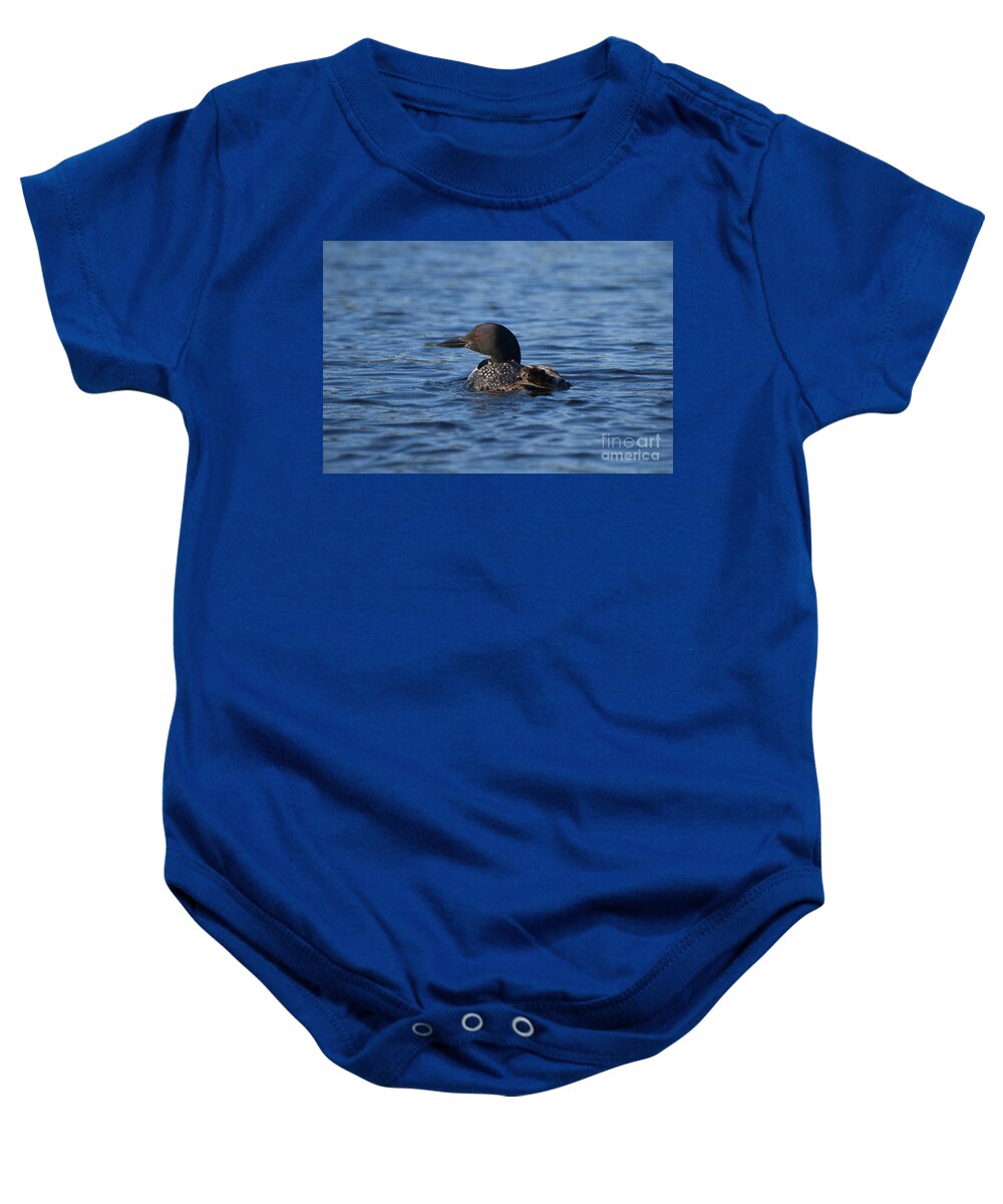 Common Loon Baby Onesie featuring the photograph Common Loon by Joan Wallner