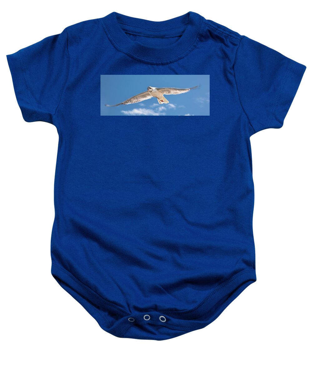 Bird Baby Onesie featuring the photograph Feel the Freedom by Andreas Berthold