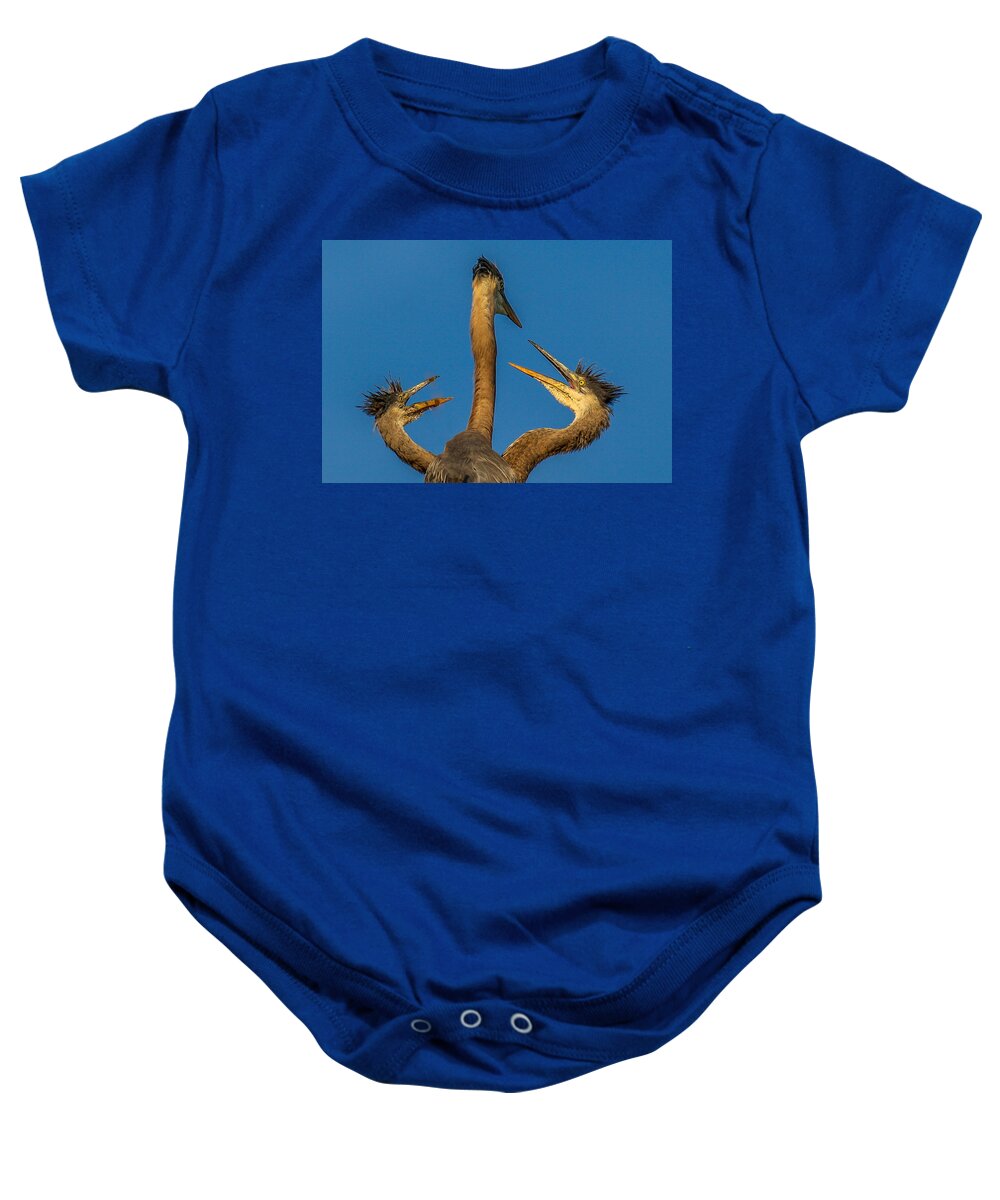 Great Blue Herons Baby Onesie featuring the photograph First Come-First Serve by Kevin Dietrich