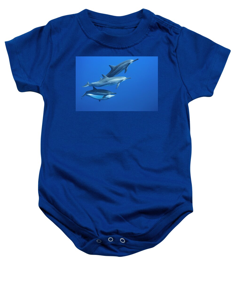 Cetacea Baby Onesie featuring the photograph Four Spinner Dolphin Stenella by Dave Fleetham