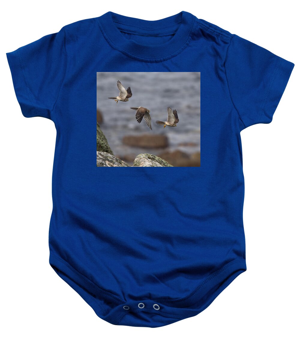 Photo Baby Onesie featuring the photograph Falco tinnunculus photomontage by Tony Mills