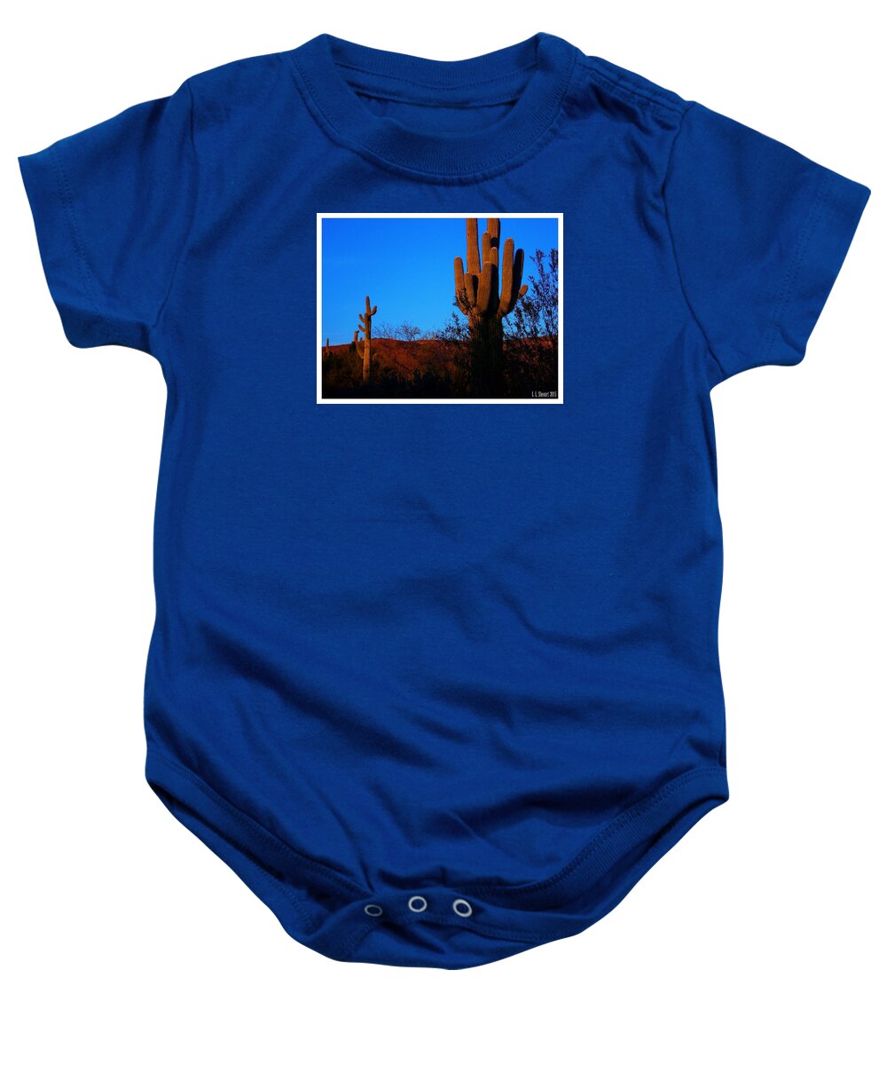 Arizona Baby Onesie featuring the photograph Late Afternoon on The Desert by L L Stewart