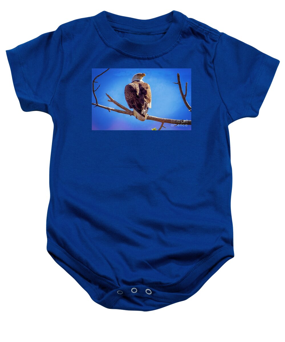 American Bald Eagle Baby Onesie featuring the photograph Looking Right by Bob Hislop
