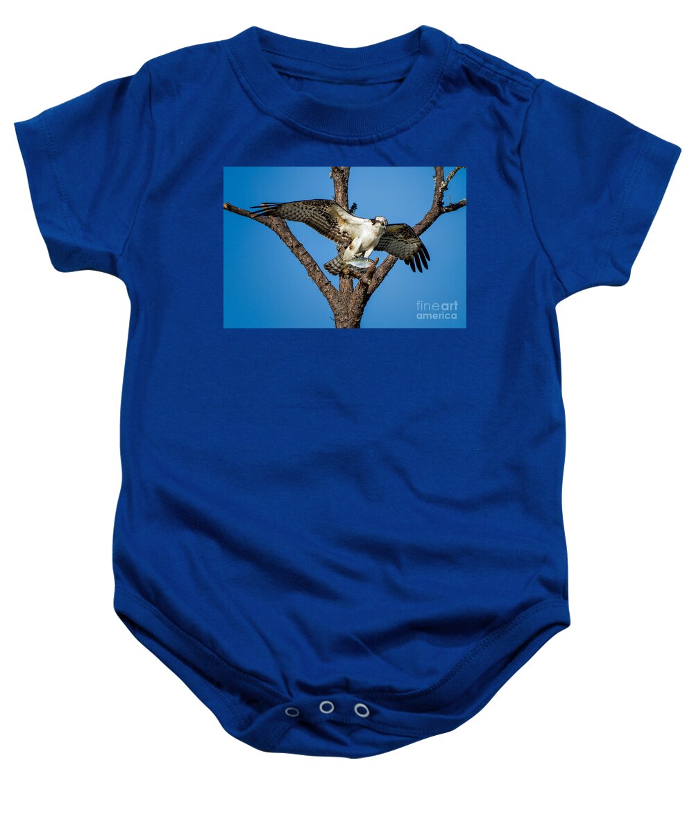 Osprey Baby Onesie featuring the photograph Nice Catch by Ronald Lutz