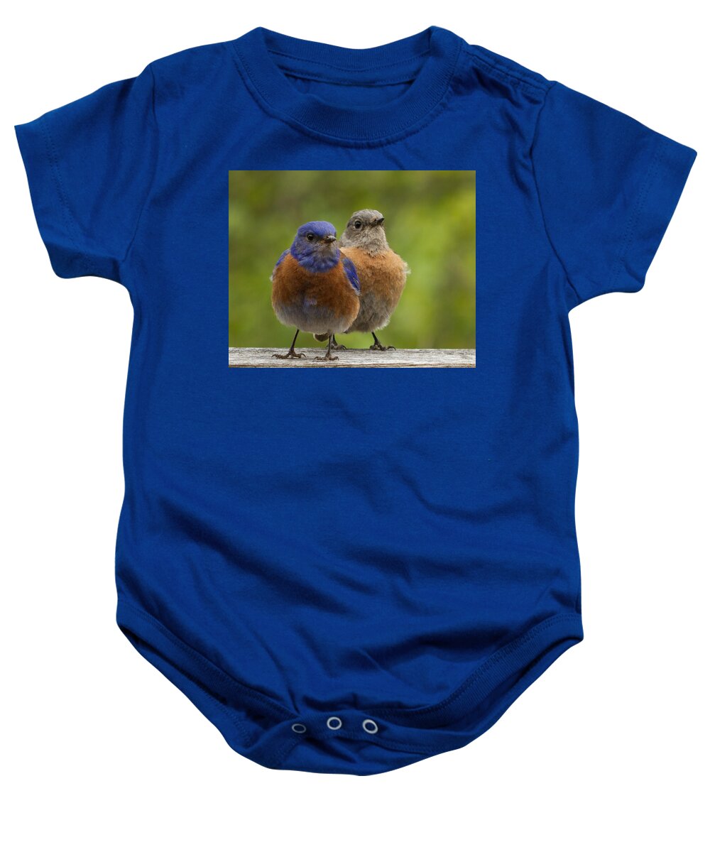 Pals Baby Onesie featuring the photograph Pals by Jean Noren